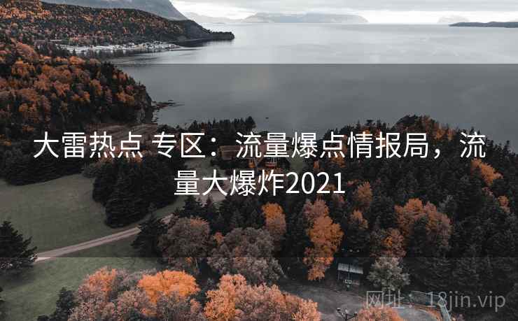 大雷热点 专区：流量爆点情报局，流量大爆炸2021